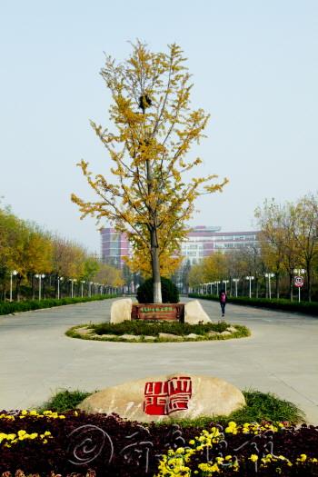 齐鲁晚报:青职特色"迎新季"-青岛职业技术学院